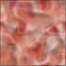 Psychedelic Slime2