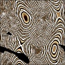 Tree Rings