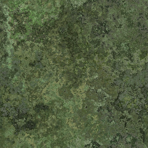 Variation 5