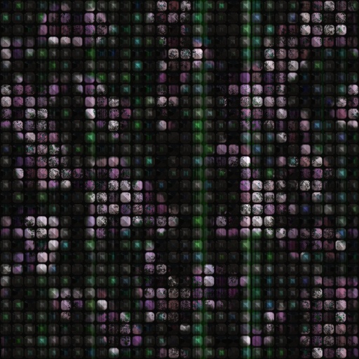 Variation 7