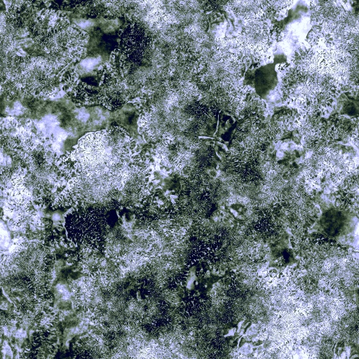 Coral Reef (Texture)