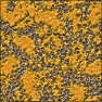 Paint on Asphalt