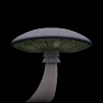 Shrooms