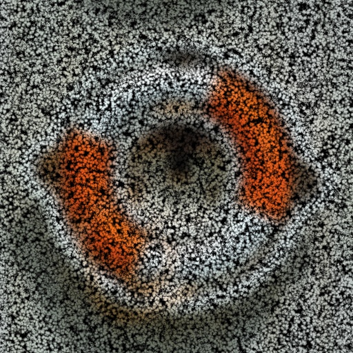 Variation 3
