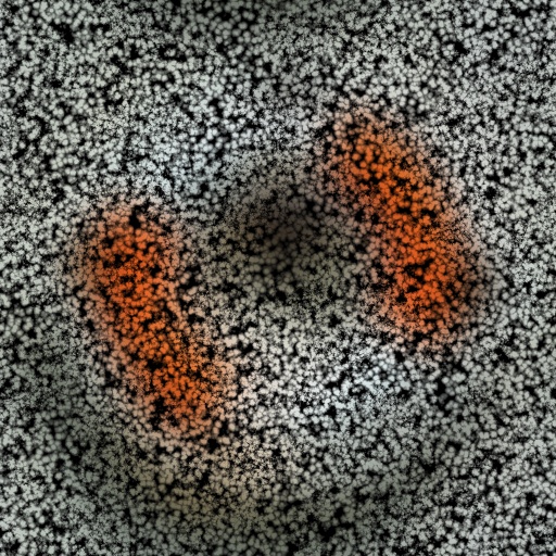 JJF Carpet Stain (Effect)