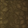 muddy ground