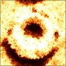 Coals