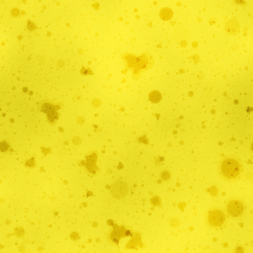 Variation 6