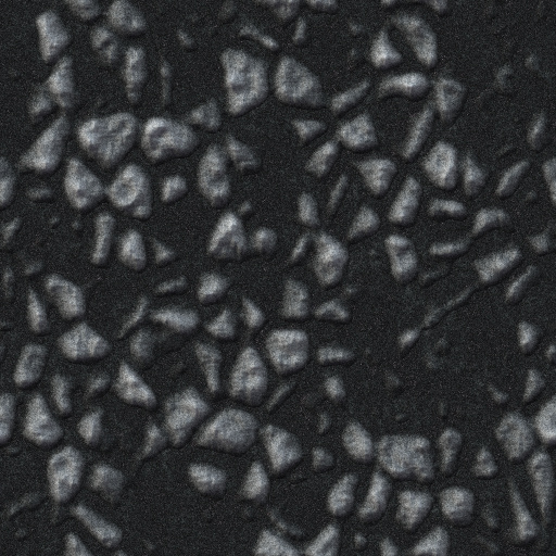 Variation 7