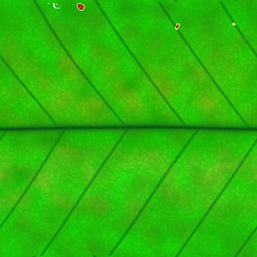 Diffuse Map