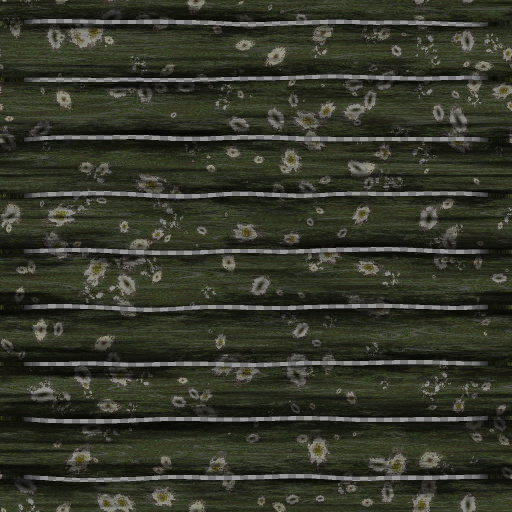 Variation 4