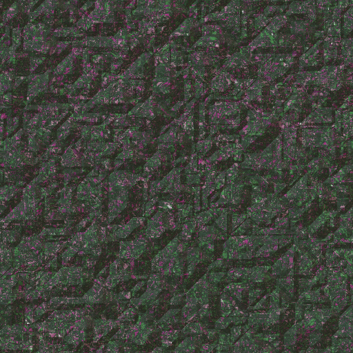 Variation 7