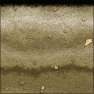 ForestSandSediment