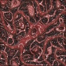 Swirl Art by Fortunas