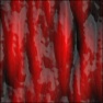Muscle Fiber