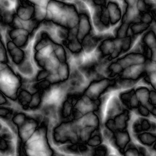 Bump Map