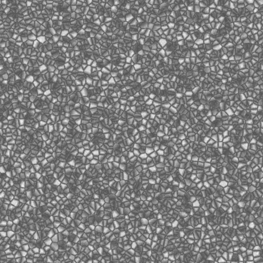 Bump Map