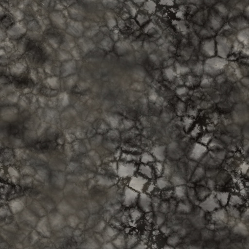 Diffuse Map
