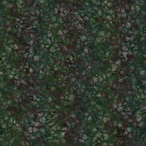 Variation 5