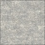 Concretia