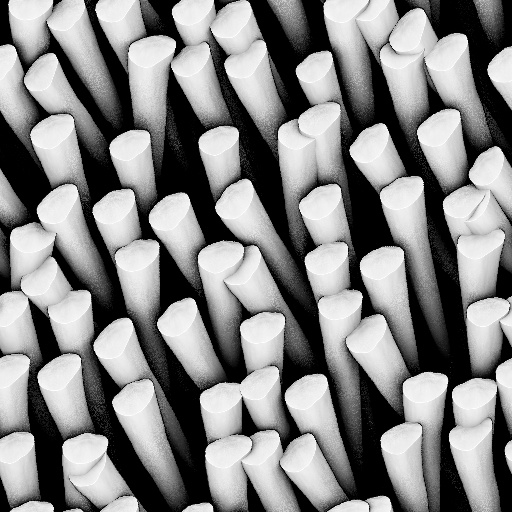 Ambient Occlusion Map