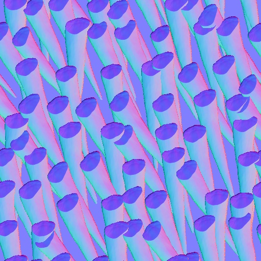 Normal Map