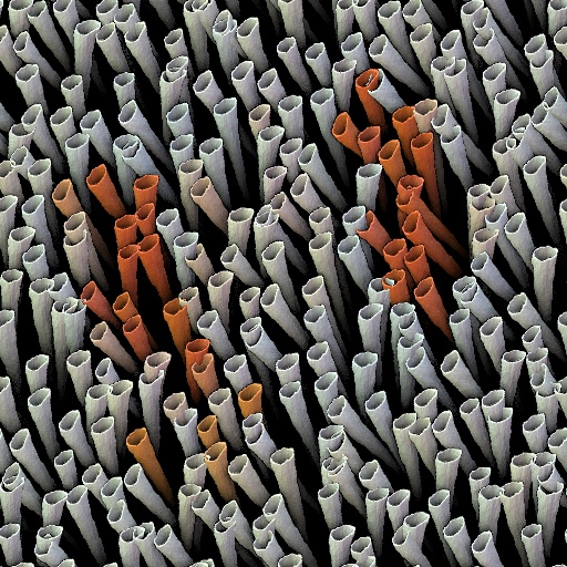 Variation 1