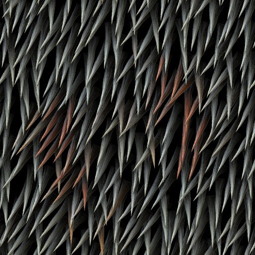 Variation 8