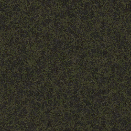 Variation 4