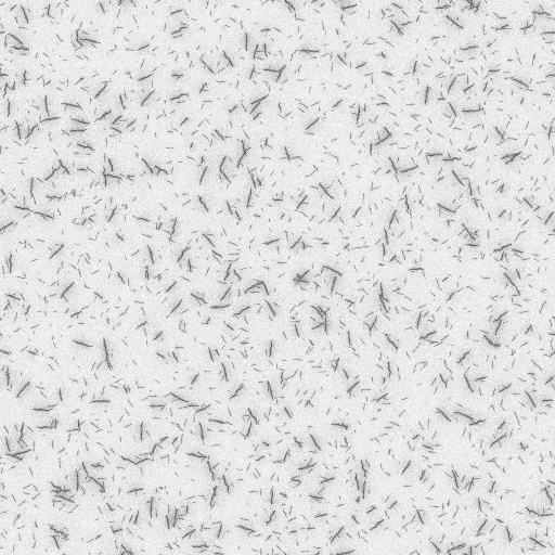 Ambient Occlusion Map