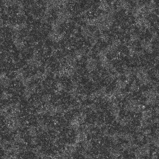 Ambient Occlusion Map