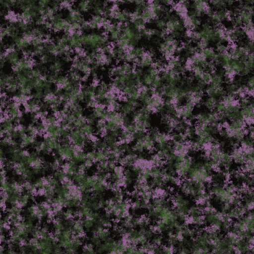 Variation 2