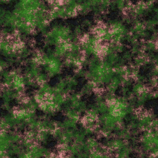 Variation 6