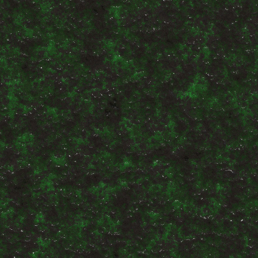 Wet Moss (Texture)