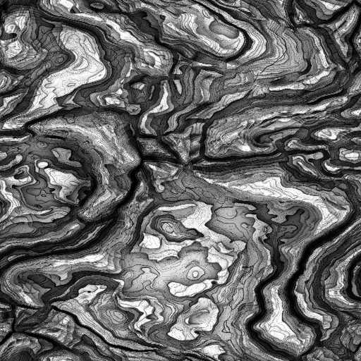 Ambient Occlusion Map