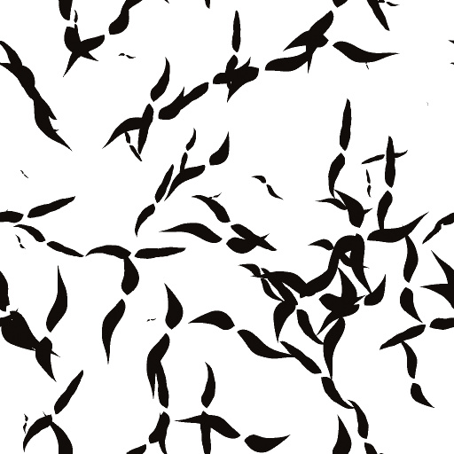 Variation 2