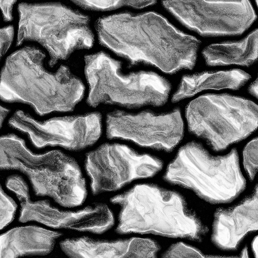 Ambient Occlusion Map