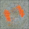 strange artifications