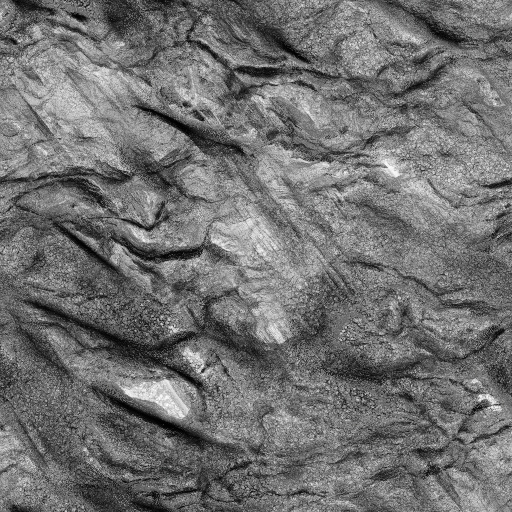 Ambient Occlusion Map