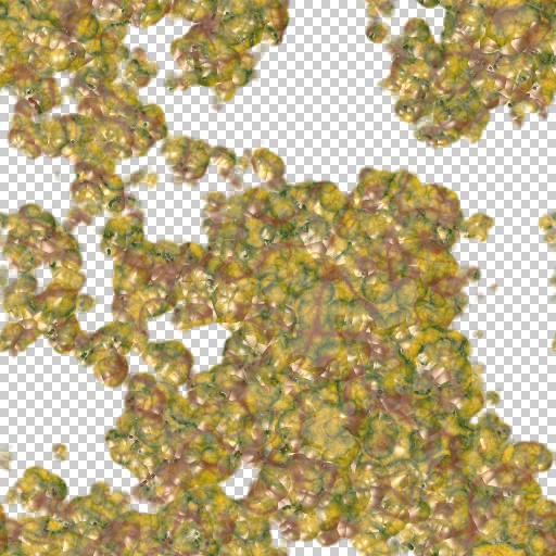 Variation 4