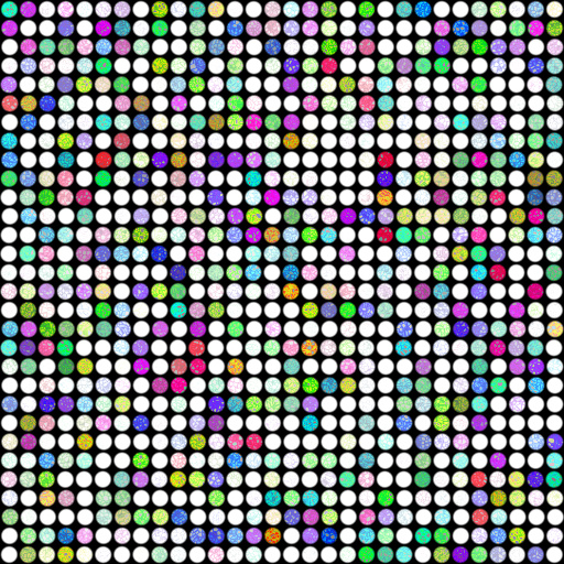 Variation 6