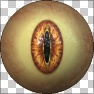 Eye Factory