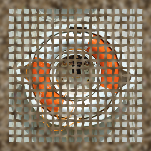 Variation 3