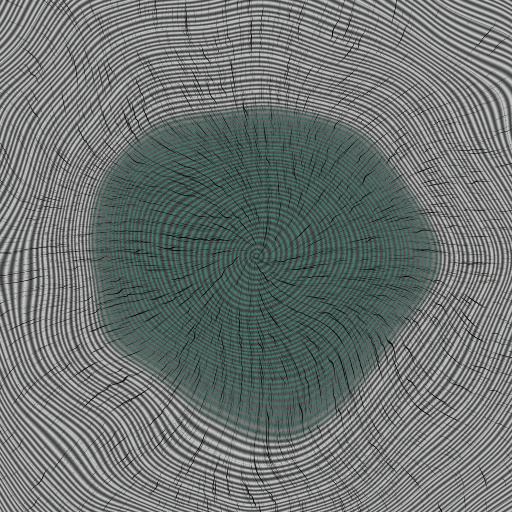 Variation 6