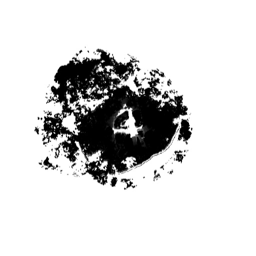 Variation 2