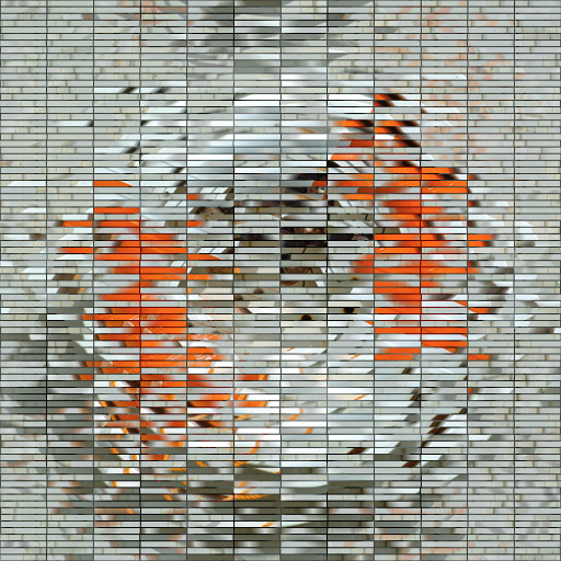 Variation 7