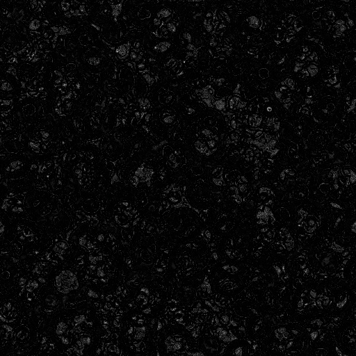 Ambient Occlusion Map