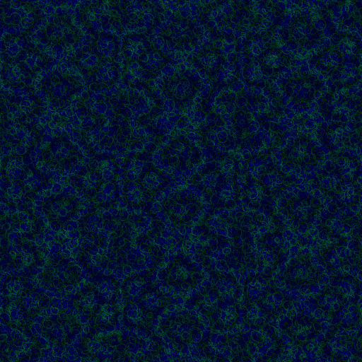Variation 5