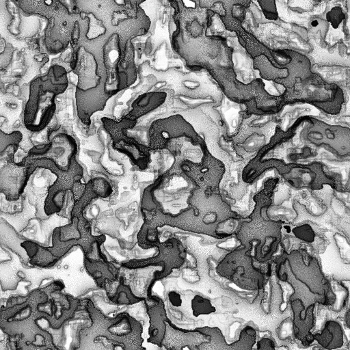 Ambient Occlusion Map