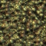 Xenian bubbles